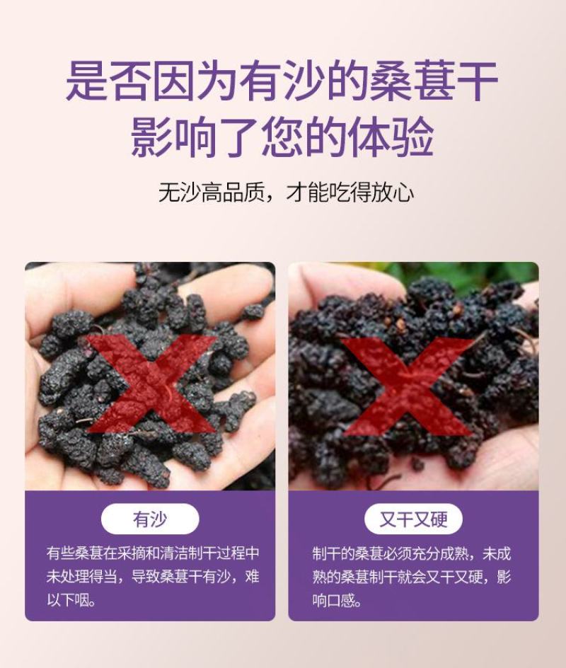 桑葚干产地直发原产地直销批发零售