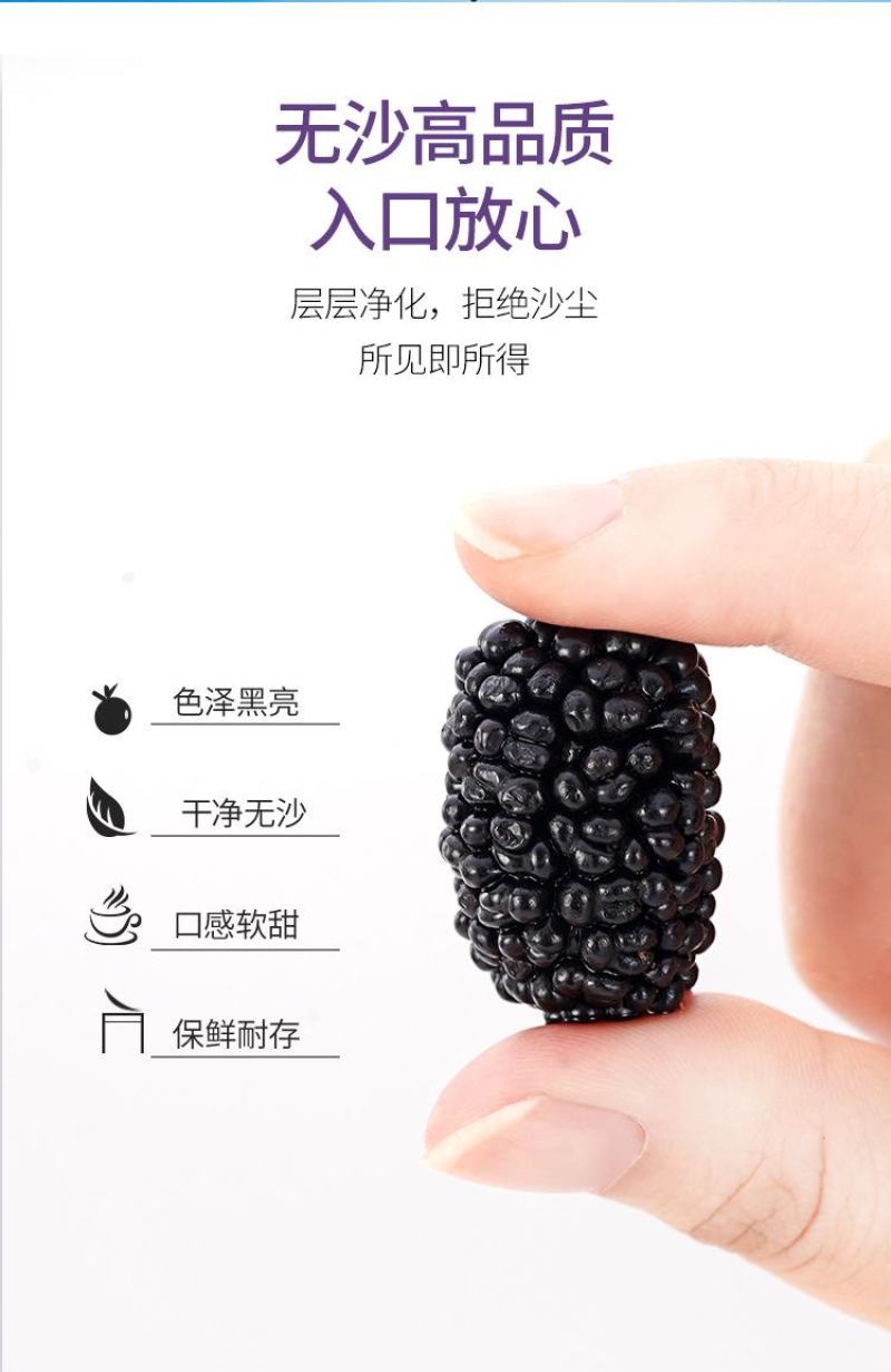 桑葚干产地直发原产地直销批发零售
