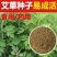 艾叶靳艾草种子药用野生香艾草食用青团大叶艾驱蚊草艾灸种子