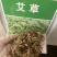 艾叶靳艾草种子药用野生香艾草食用青团大叶艾驱蚊草艾灸种子