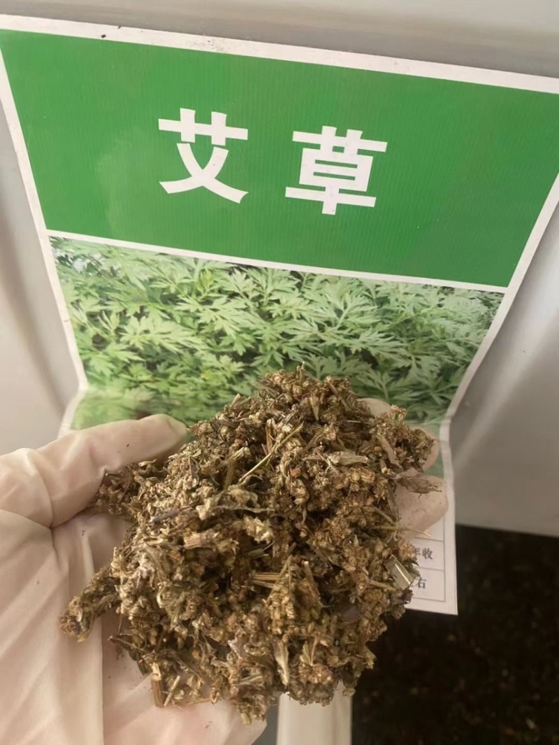 艾叶靳艾草种子药用野生香艾草食用青团大叶艾驱蚊草艾灸种子