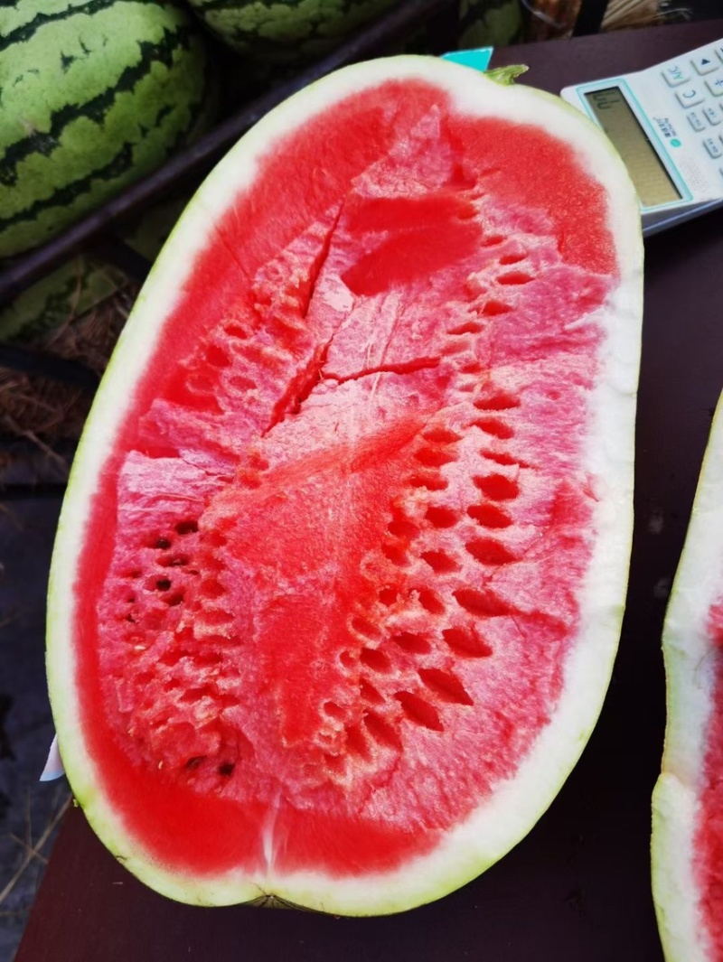 宁夏金花，金城大量上市。糖度高。产地直销，当天釆摘发
