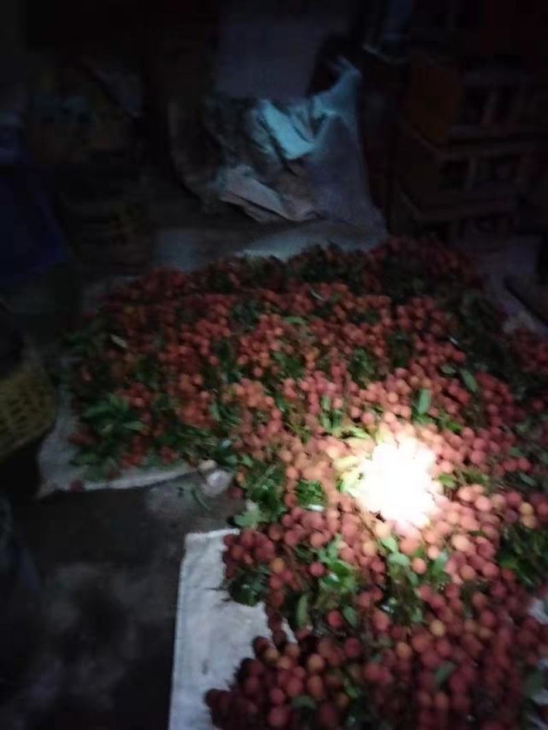 白糖荔荔枝
