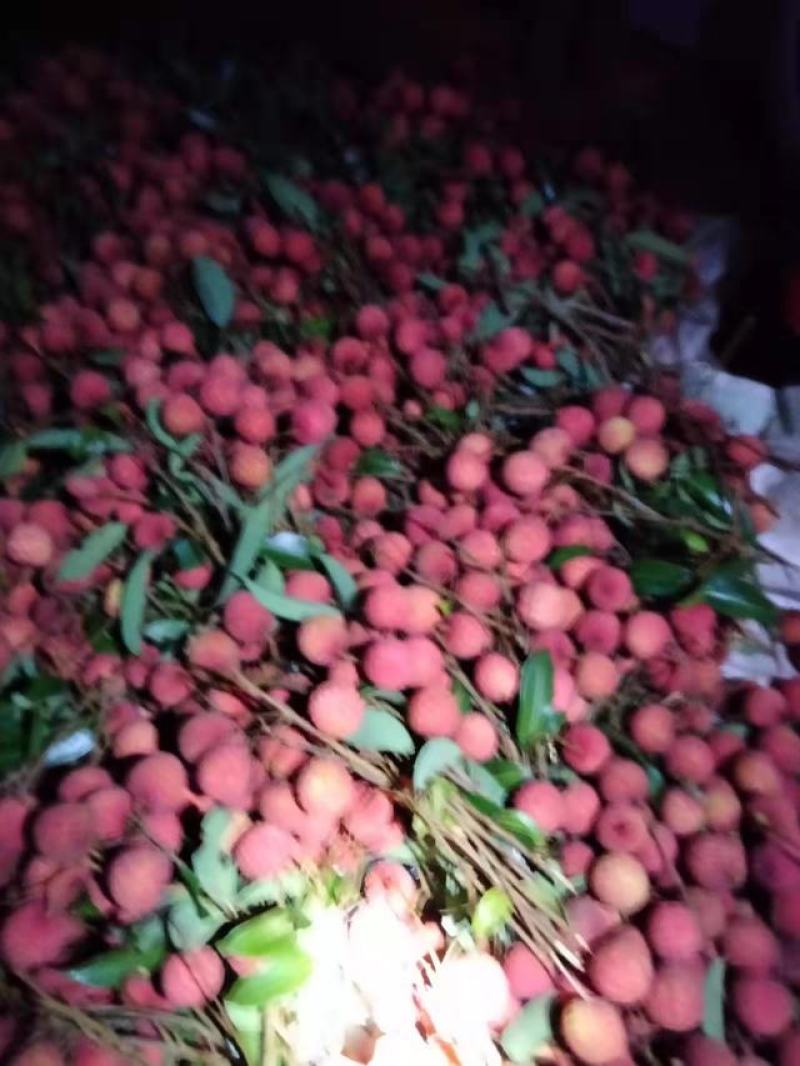 白糖荔荔枝