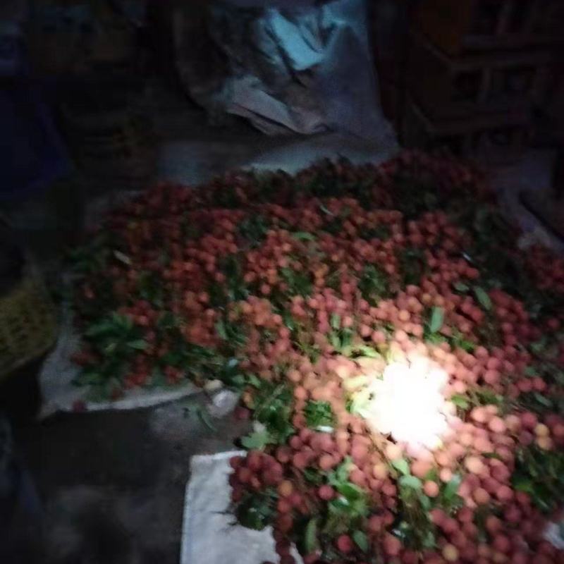 白糖荔荔枝