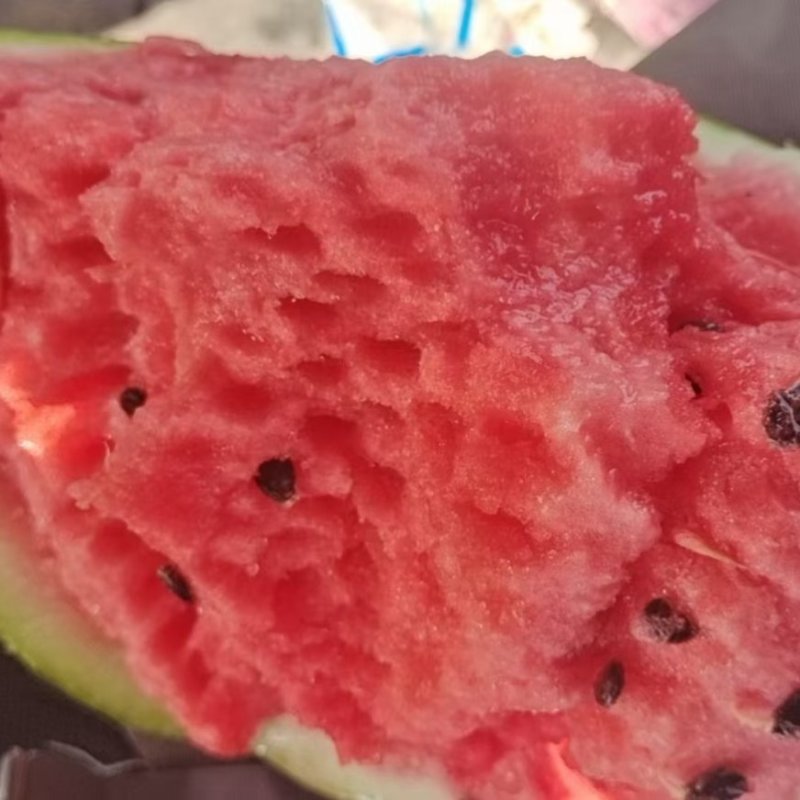 原苗称心如意西瓜