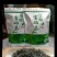 精品绿茶干茶毛尖富硒茶茶叶富硒绿茶产地直供
