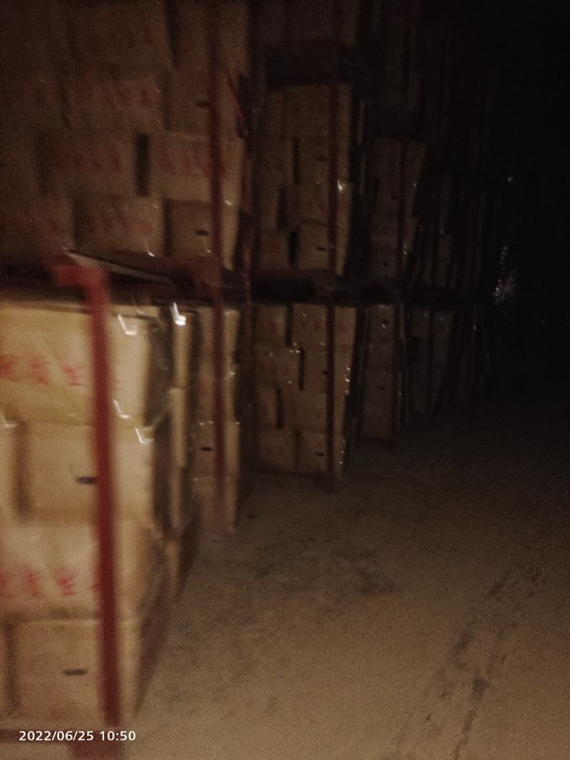 窖姜，川姜白口竹根姜种路地种植量大从优