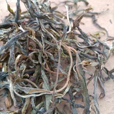 2022年夏茶，晒青毛茶，手工制作，机器挑选黄片