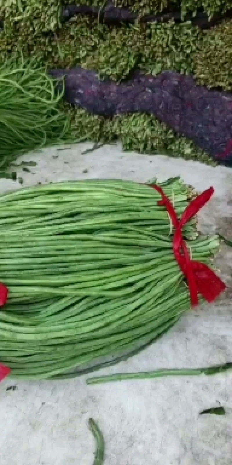 精品长豆角河北永年大量有货质量好精品刚刚上市可以腌制，
