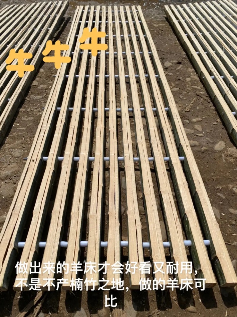 羊床