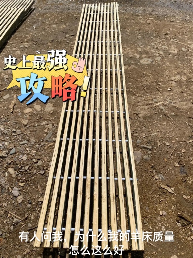羊床