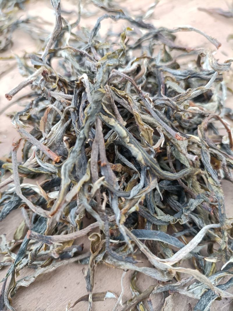 2022年夏茶，晒青毛茶，手工制作，机器挑选黄片