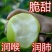 【热销推荐】安徽砀山翠冠梨2024新梨，现摘现发皮薄脆甜