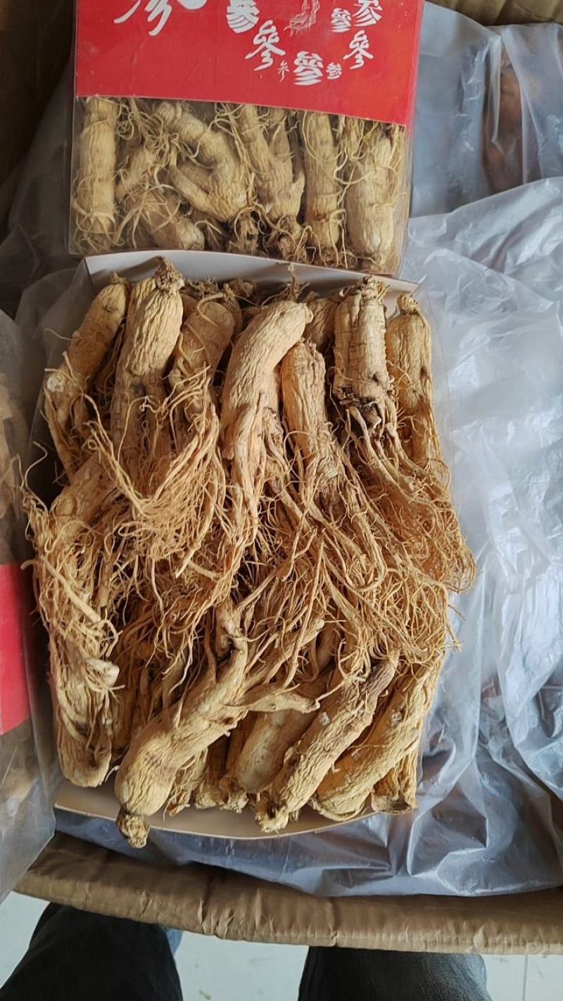 水洗龙骨，化石中药材，锻龙骨五花龙骨可打粉龙骨
