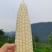 重庆奉节甜糯玉米