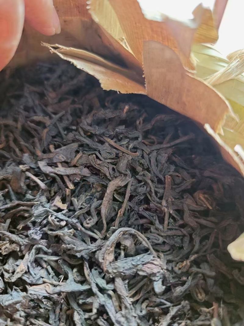 90年代老班章樟香老熟茶！，勐海乔木陈香大