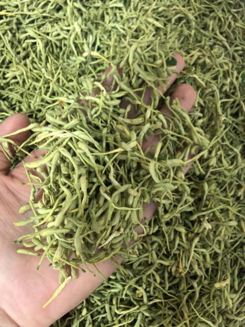 金银花青金银花新货金银花二花产地山东产地货源