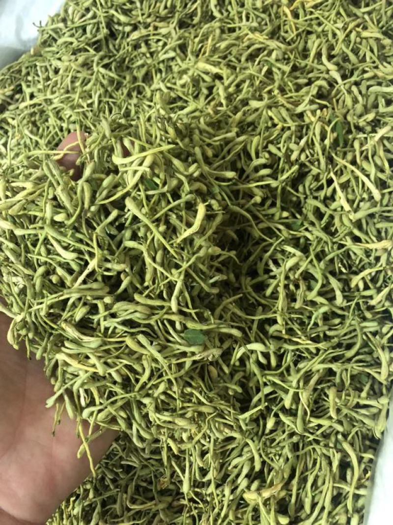 金银花青金银花新货金银花二花产地山东产地货源