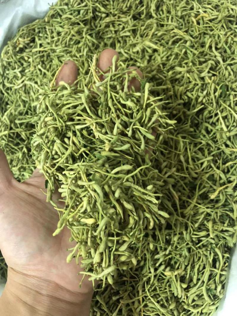 金银花青金银花新货金银花二花产地山东产地货源