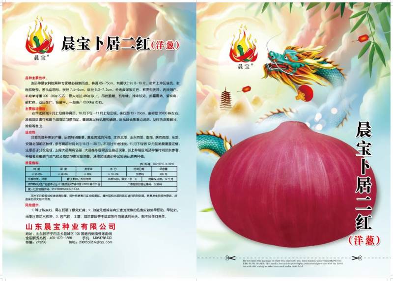 洋葱种子，晨宝卜居红洋葱种子，紫红皮，包回收
