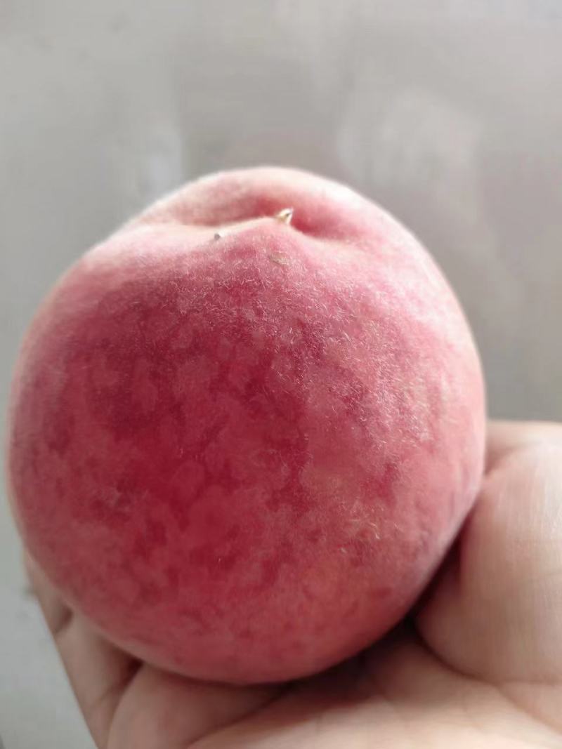 桃