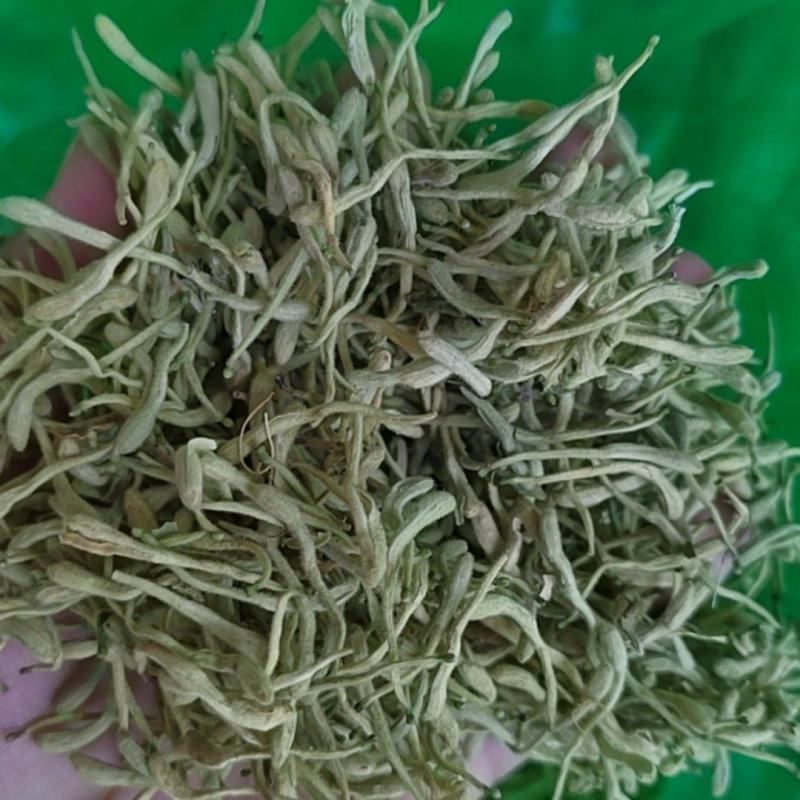 水洗细辛，细辛产地一手货源手选杂质，全细辛