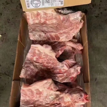 784多肉胫骨价格便宜！！！。。。。。。。