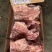 784多肉胫骨价格便宜！！！。。。。。。。