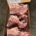 784多肉胫骨价格便宜！！！。。。。。。。