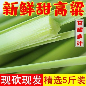 2025年新鲜甜杆甜卢粟甜卢稷小甘蔗产地直发一件代发
