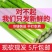 2025年新鲜甜杆甜卢粟甜卢稷小甘蔗产地直发一件代发