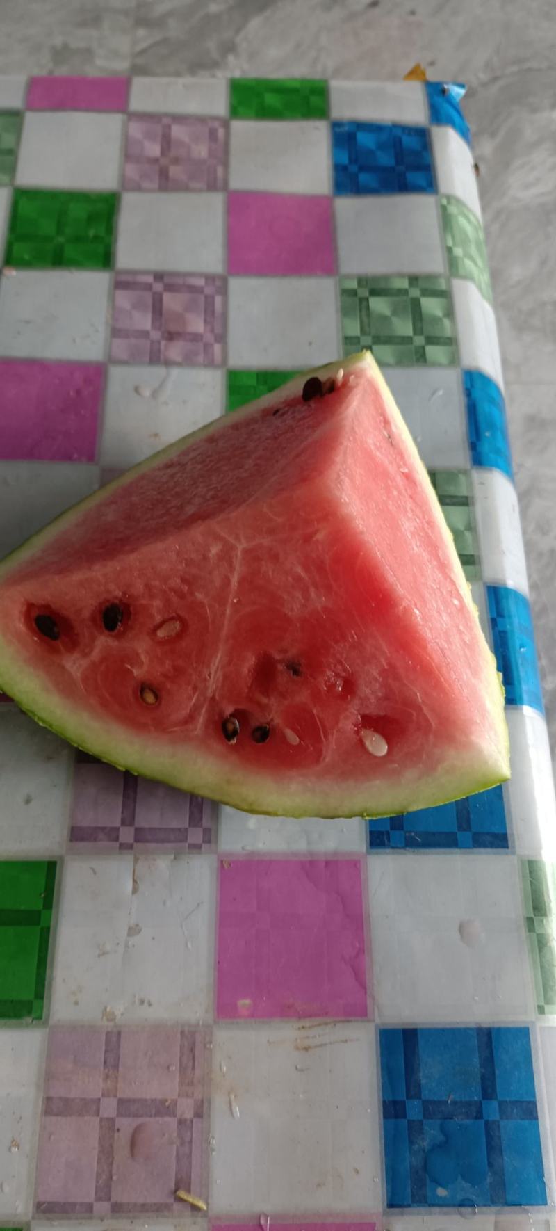 优质美都西瓜