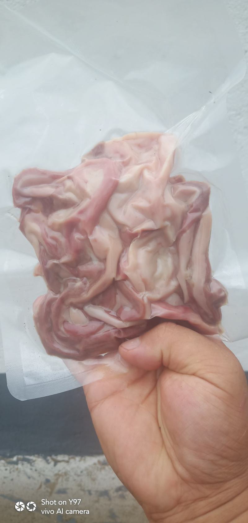 美食