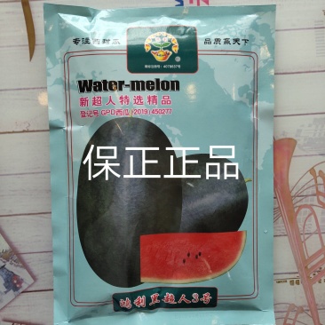 黑美人3号大果早熟耐裂果综合抗逆性较新超人强粒