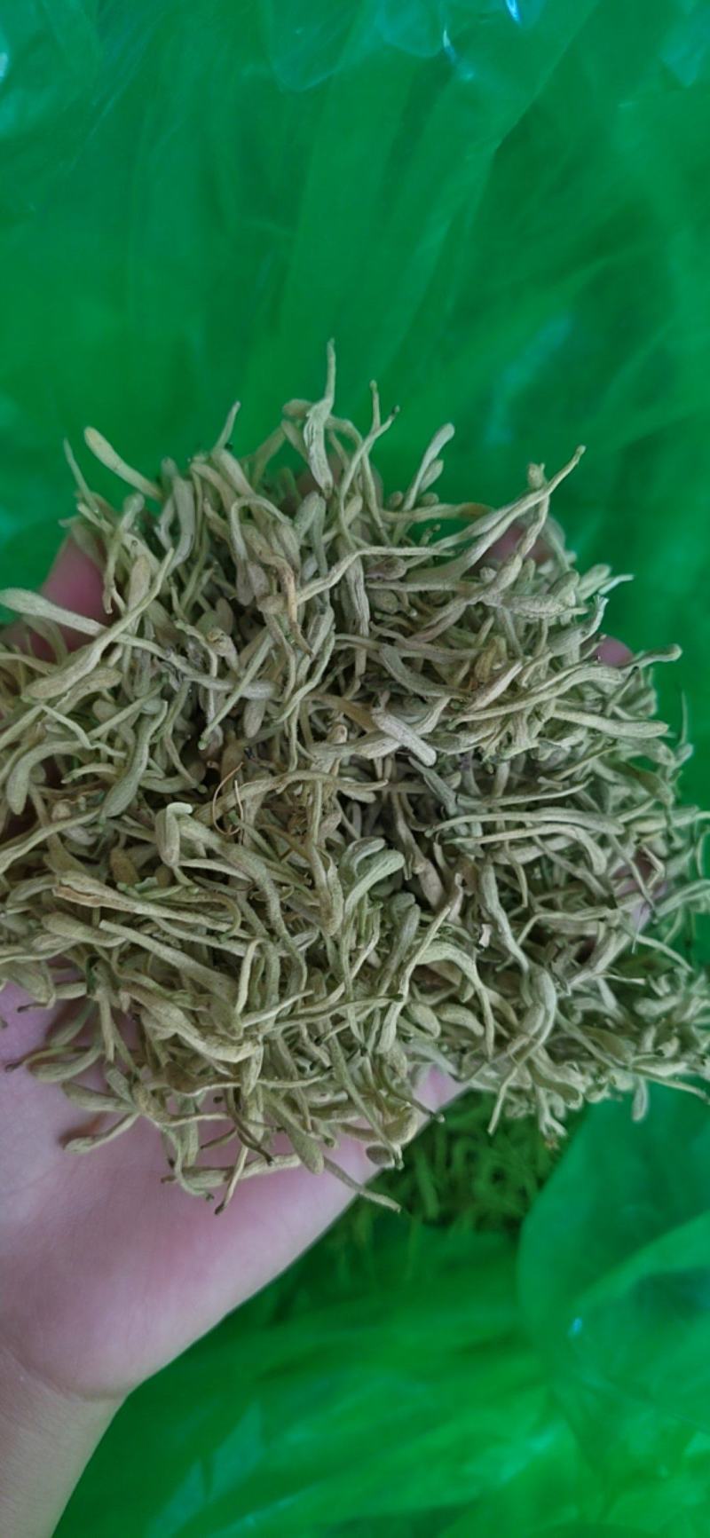 进口枣仁丹丹中药材批发，一手货源，正品生枣仁