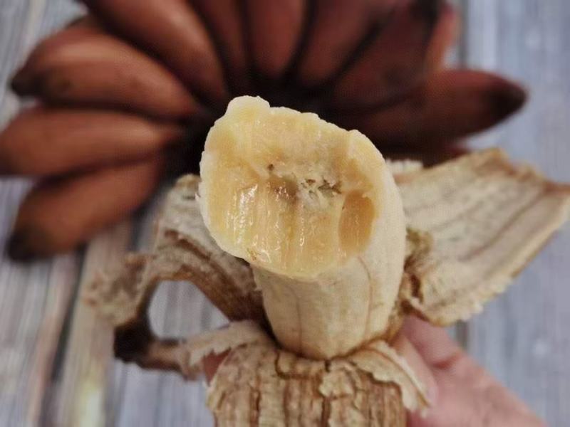 红皮香蕉少见的更美味的香蕉5斤装包邮约10个