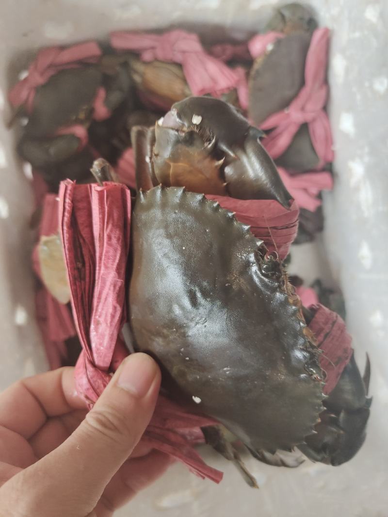 批发青蟹各种品种齐全，承接，酒店，超市及批发商