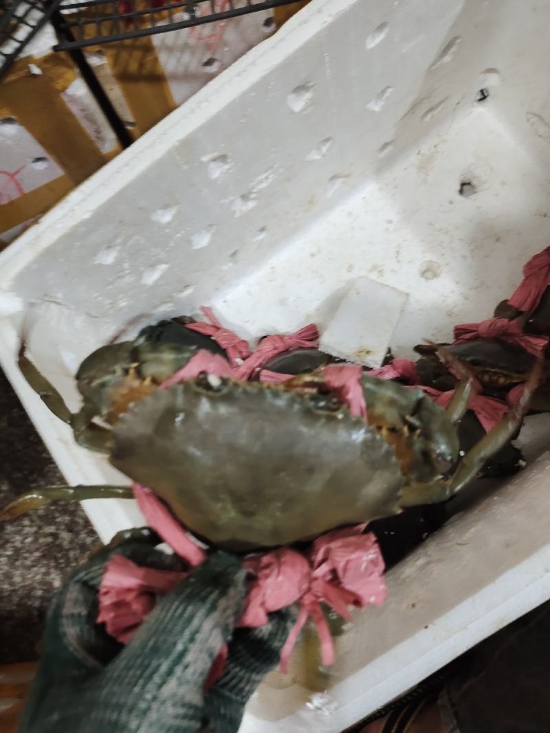 批发青蟹各种品种齐全，承接，酒店，超市及批发商