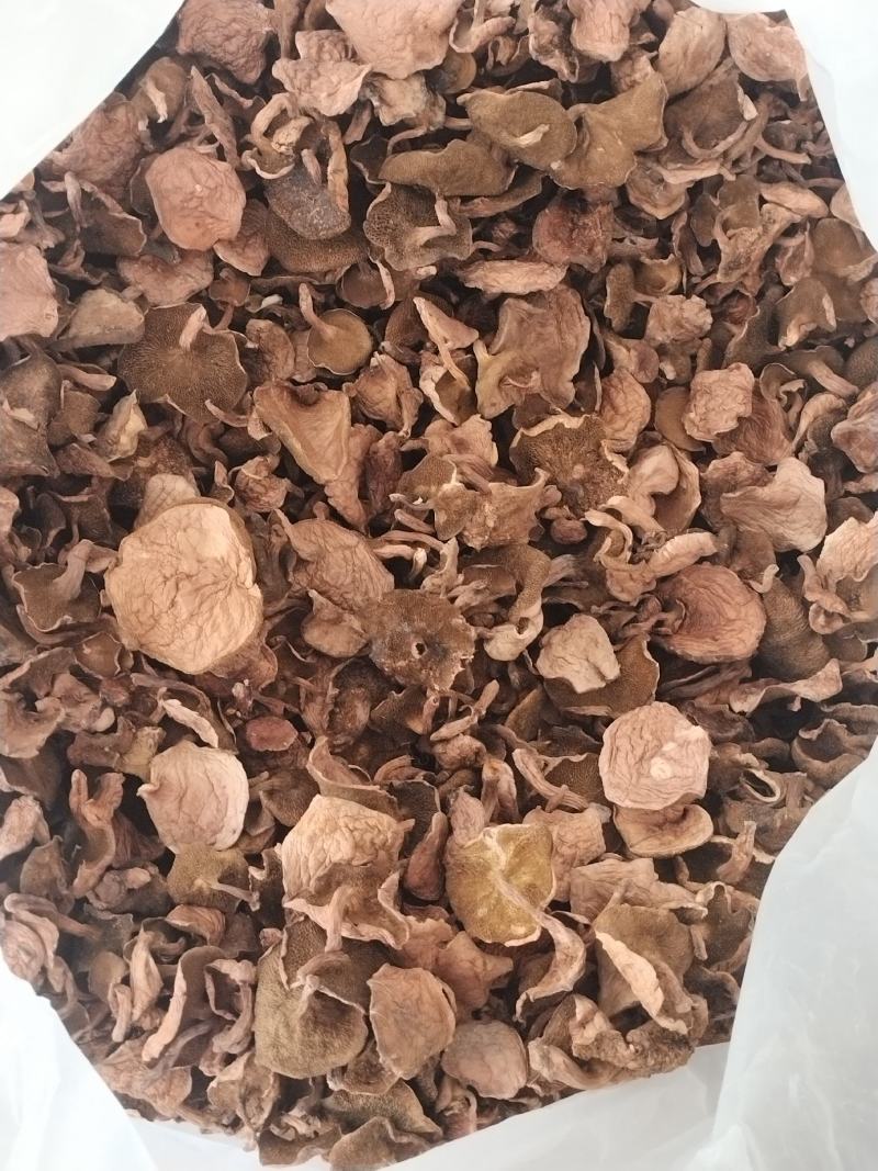红乳牛肝菌干货红松蘑滑子菇松树菌源产地精品批发
