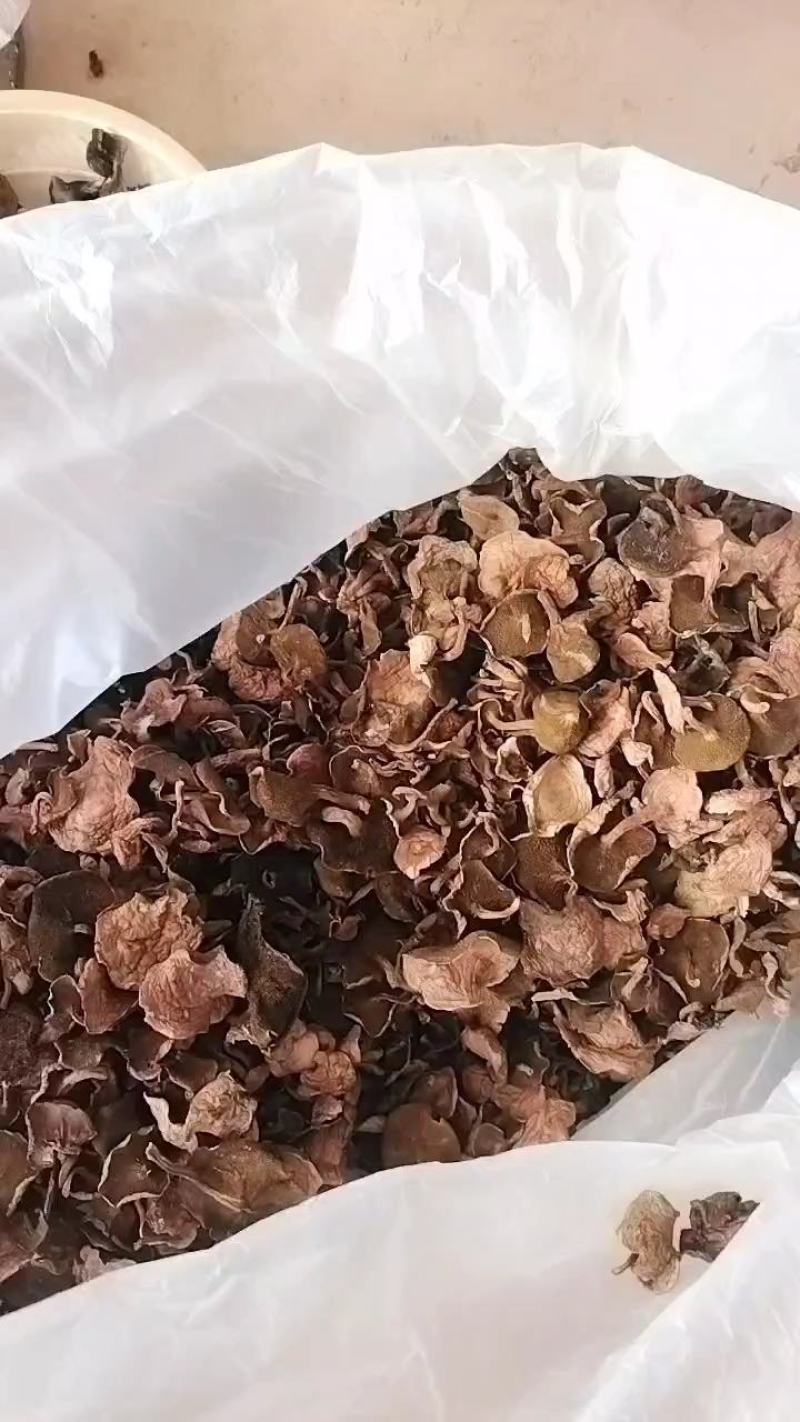 红乳牛肝菌干货红松蘑滑子菇松树菌源产地精品批发