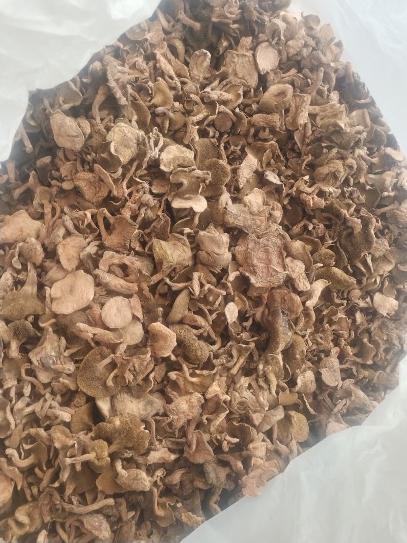 红乳牛肝菌干货红松蘑滑子菇松树菌源产地精品批发