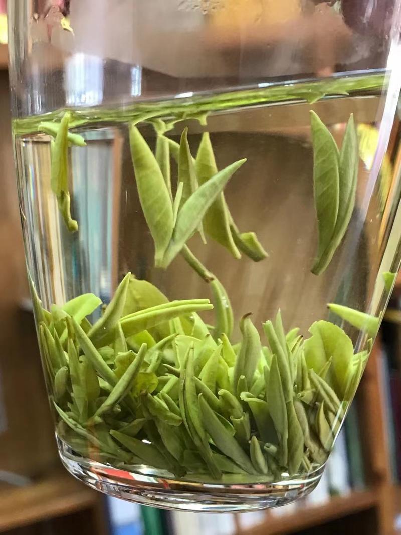 精品茶叶绿茶毛尖茶产地一手货源欢迎采购可视频看货