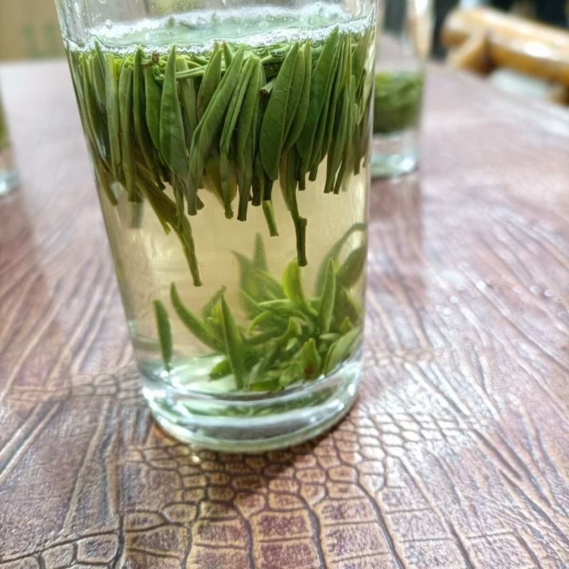 精品茶叶绿茶毛尖茶产地一手货源欢迎采购可视频看货