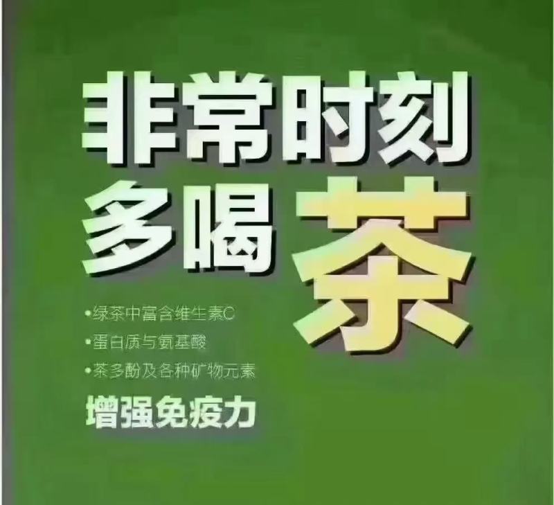 精品茶叶绿茶毛尖茶产地一手货源欢迎采购可视频看货