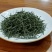 精品茶叶绿茶毛尖茶产地一手货源欢迎采购可视频看货