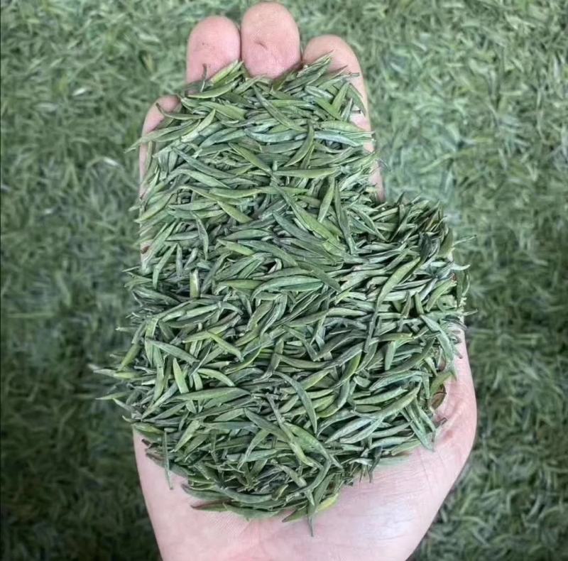 精品茶叶绿茶毛尖茶产地一手货源欢迎采购可视频看货