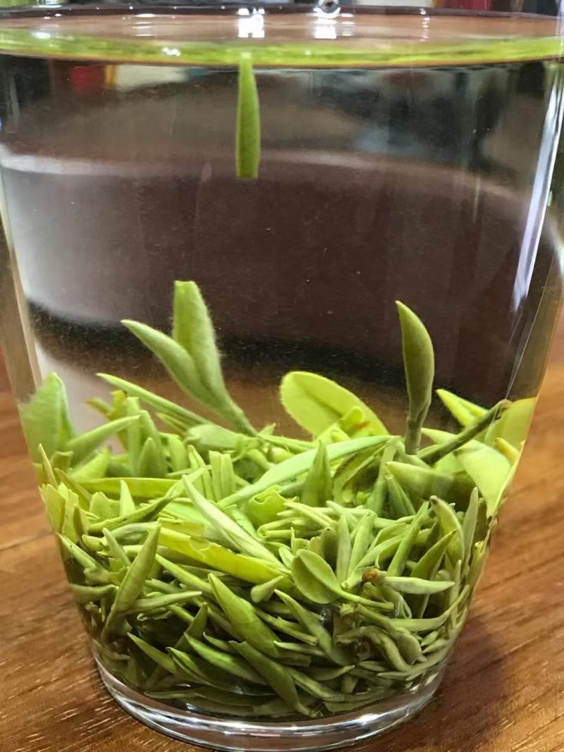 精品茶叶绿茶毛尖茶产地一手货源欢迎采购可视频看货