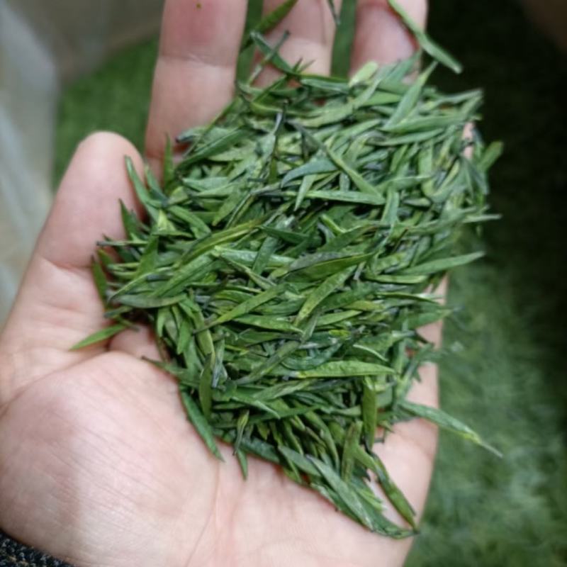 精品茶叶绿茶毛尖茶产地一手货源欢迎采购可视频看货