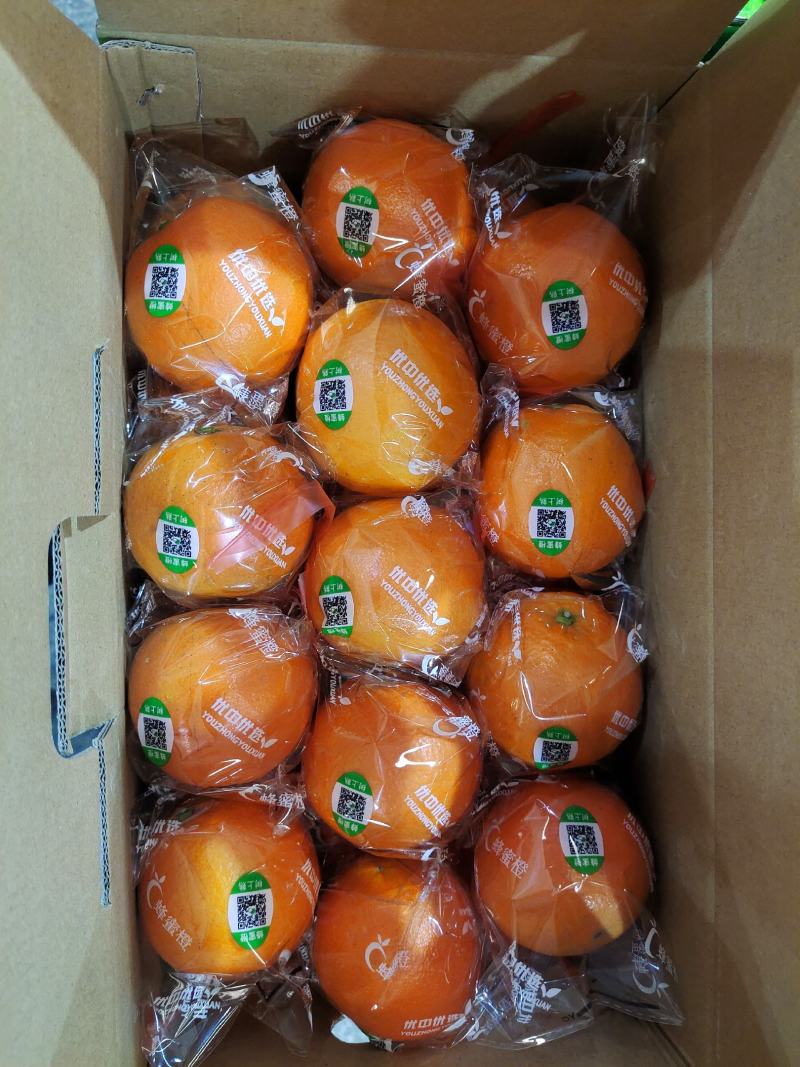 纽荷尔脐橙，万亩大产区皮细肉嫩多汁，无麻点品质优良
